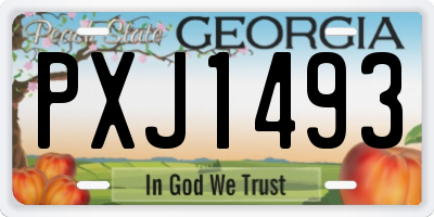 GA license plate PXJ1493