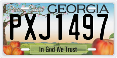 GA license plate PXJ1497