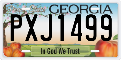 GA license plate PXJ1499