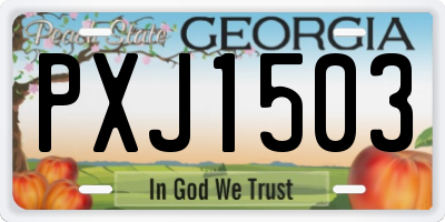 GA license plate PXJ1503