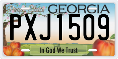 GA license plate PXJ1509