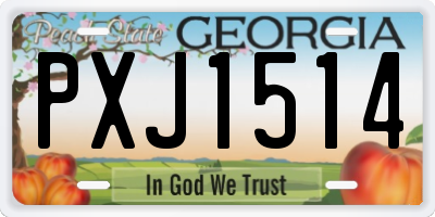 GA license plate PXJ1514