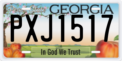 GA license plate PXJ1517
