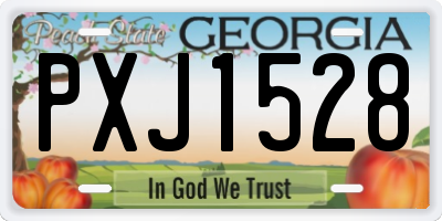 GA license plate PXJ1528