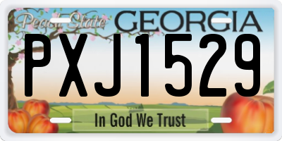 GA license plate PXJ1529