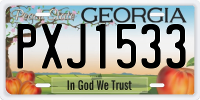GA license plate PXJ1533