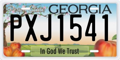 GA license plate PXJ1541