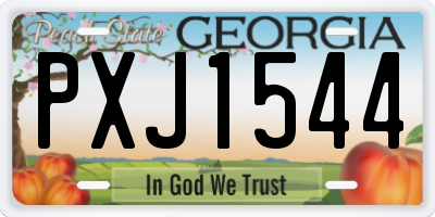 GA license plate PXJ1544