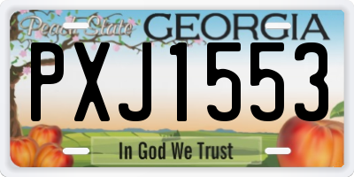 GA license plate PXJ1553