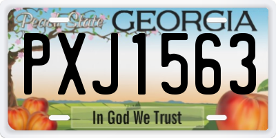 GA license plate PXJ1563