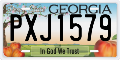 GA license plate PXJ1579