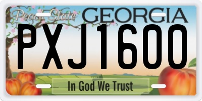 GA license plate PXJ1600