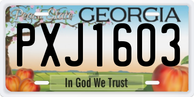 GA license plate PXJ1603