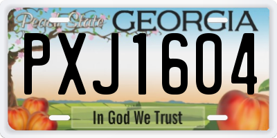 GA license plate PXJ1604