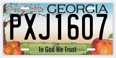 GA license plate PXJ1607