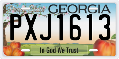 GA license plate PXJ1613