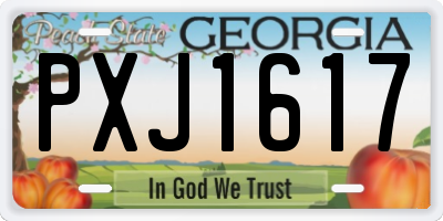 GA license plate PXJ1617