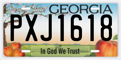 GA license plate PXJ1618