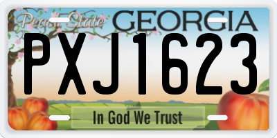 GA license plate PXJ1623