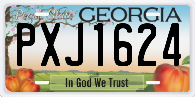 GA license plate PXJ1624