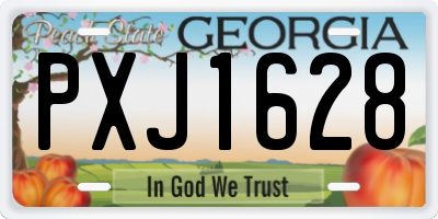 GA license plate PXJ1628