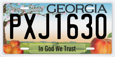 GA license plate PXJ1630