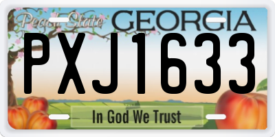 GA license plate PXJ1633