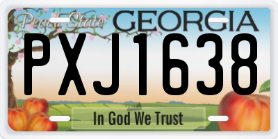 GA license plate PXJ1638