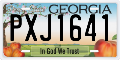 GA license plate PXJ1641