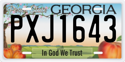 GA license plate PXJ1643