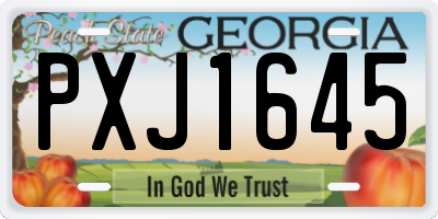 GA license plate PXJ1645