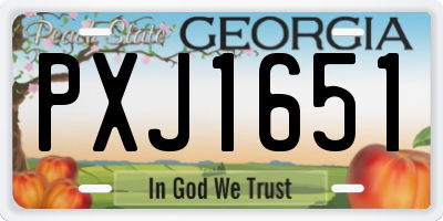 GA license plate PXJ1651
