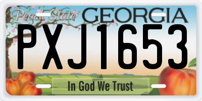 GA license plate PXJ1653