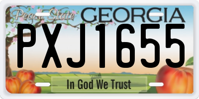 GA license plate PXJ1655