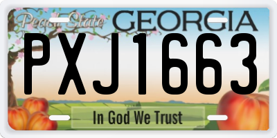 GA license plate PXJ1663