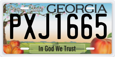 GA license plate PXJ1665