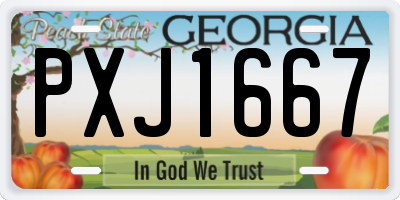 GA license plate PXJ1667