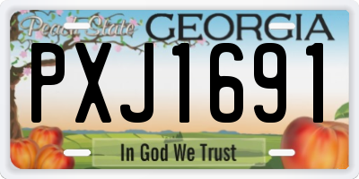 GA license plate PXJ1691