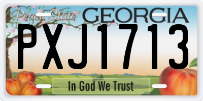 GA license plate PXJ1713