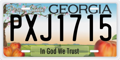 GA license plate PXJ1715