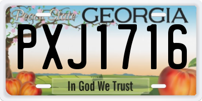 GA license plate PXJ1716
