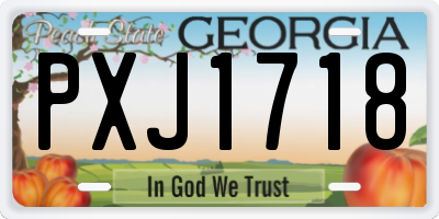 GA license plate PXJ1718