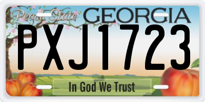 GA license plate PXJ1723