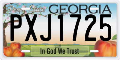 GA license plate PXJ1725