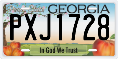 GA license plate PXJ1728