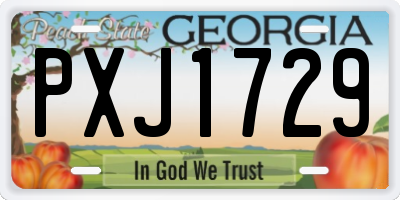 GA license plate PXJ1729