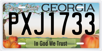 GA license plate PXJ1733
