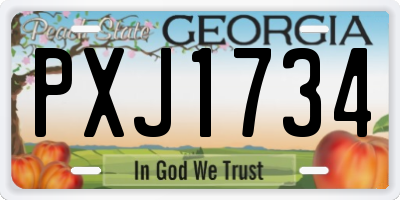 GA license plate PXJ1734