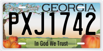 GA license plate PXJ1742