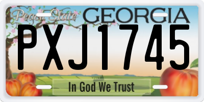 GA license plate PXJ1745